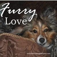 20 Ways Furry Love Can Help You Heal. This is Sue's beloved Pup.