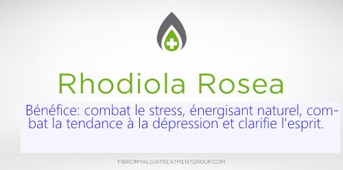 rhodiola rosea helps fight stress, boost energy, combat depression and improve mental clarity.